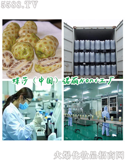 上海蝶莎生物科技有限公司：进口诺丽酵素ODM/OEM品牌定制