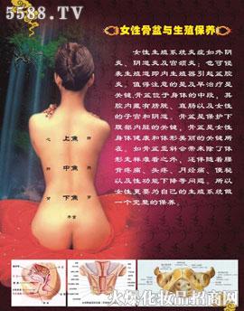 ݼƼ޹˾豣׽