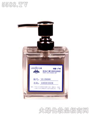 Ƽ޹˾YB-09088ޱĤ