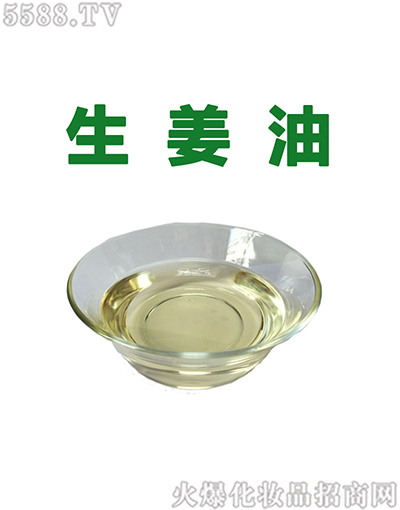 ݰƼ޹˾