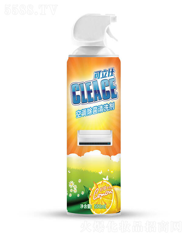 հջŹɷ޹˾ˣCLEACE)յϴ500ml