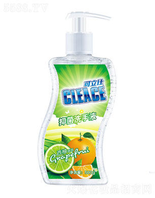 հջŹɷ޹˾ˣCLEACE)ϴҺ500g