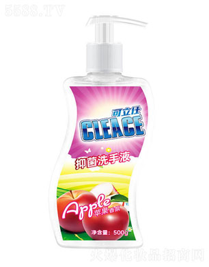 հջŹɷ޹˾ˣCLEACE)ϴҺƻ500g