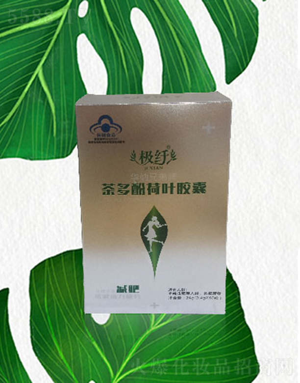 ɳٻ֮ѯ޹˾˲ӺҶ24g0.4g*60