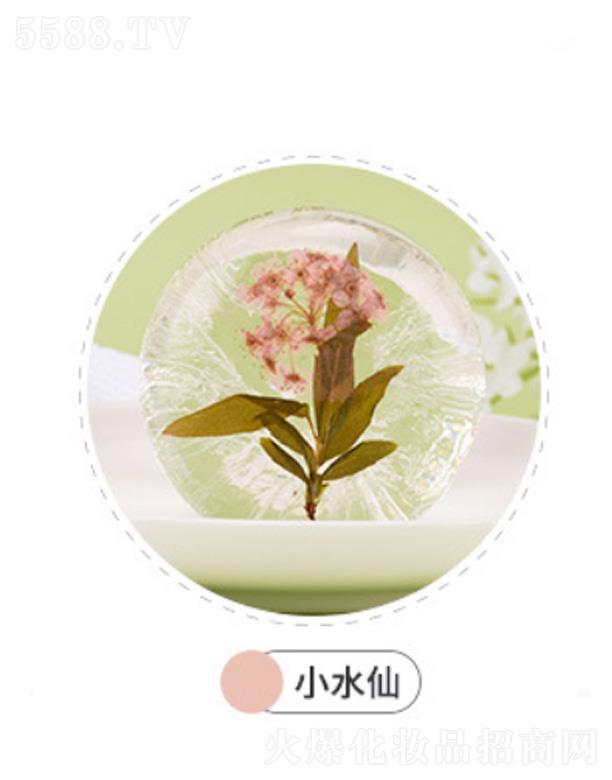 ʫƷ޹˾ʫʫ𰱻ֹ-Сˮ