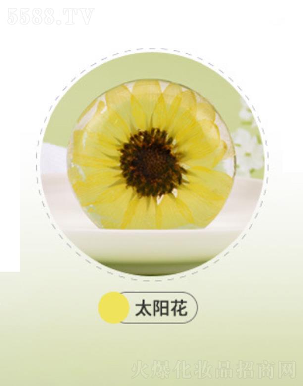 ʫƷ޹˾ʫʫ𰱻ֹ-̫
