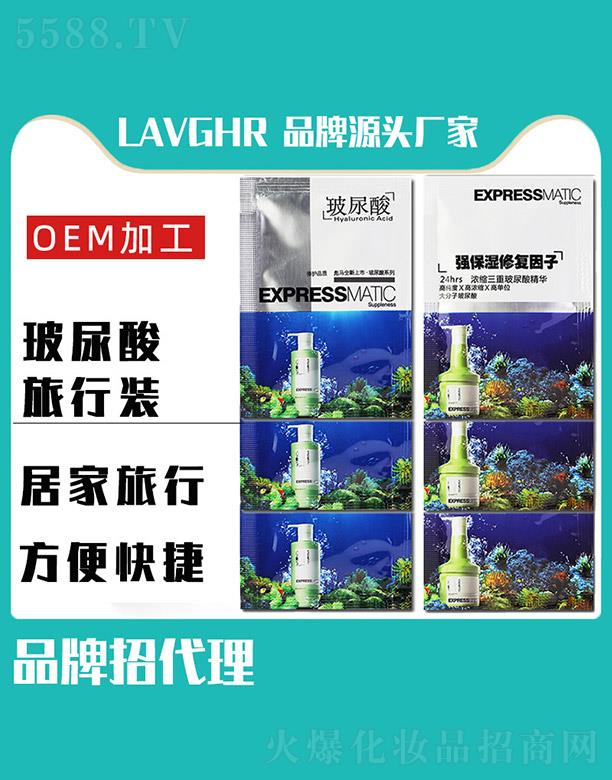 ӭó޹˾LAVGHRװ