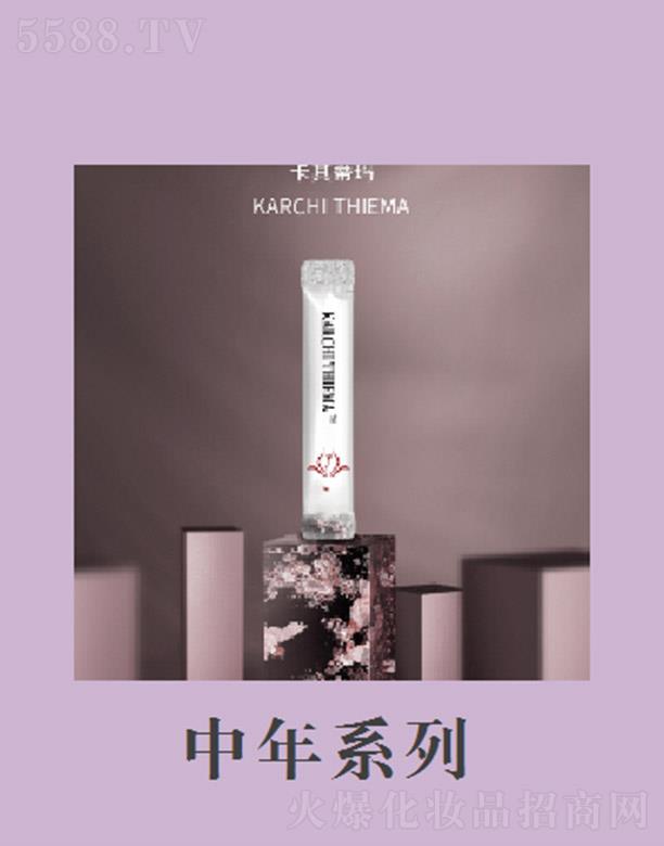 ѩƼ޹˾ϵ