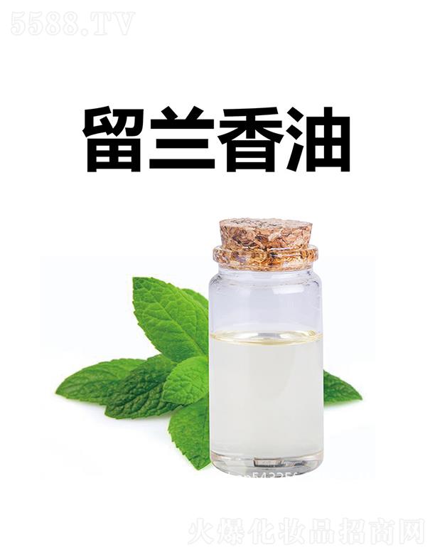 Ƽ޹˾