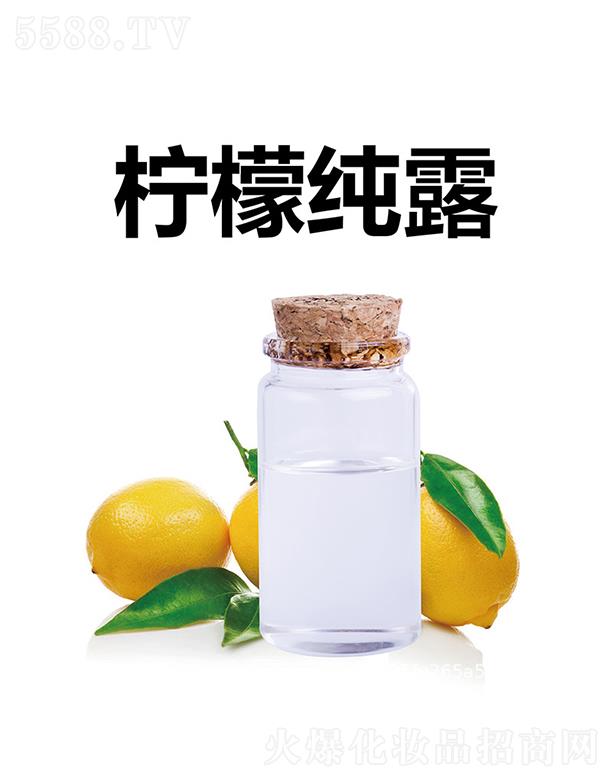 Ƽ޹˾ʴ¶