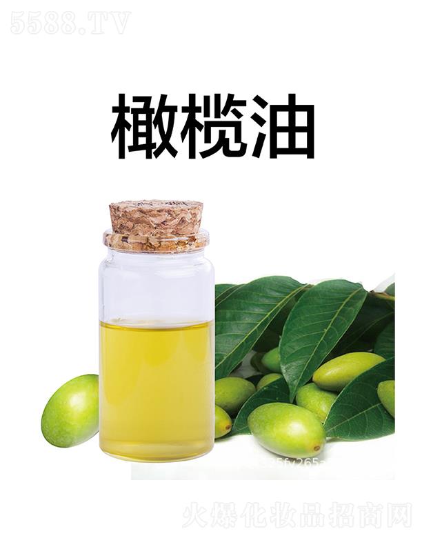 Ƽ޹˾