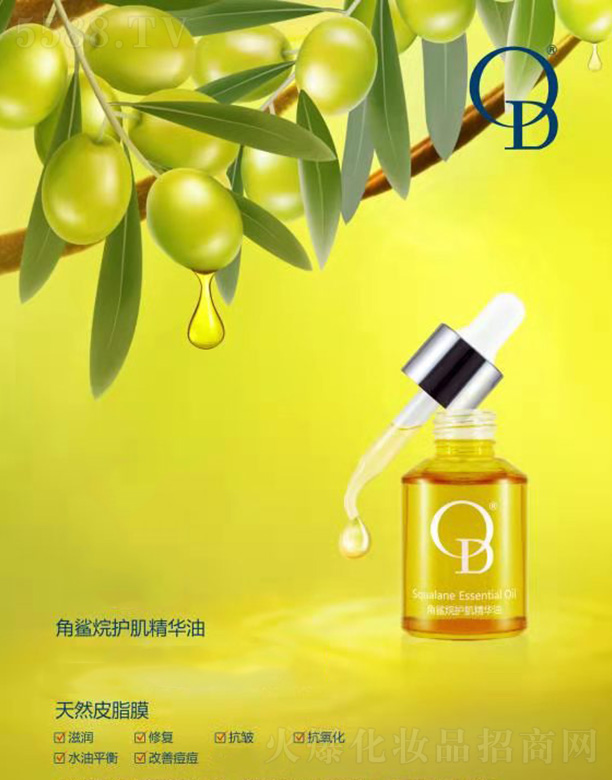 麣Ƽ޹˾OD黤
