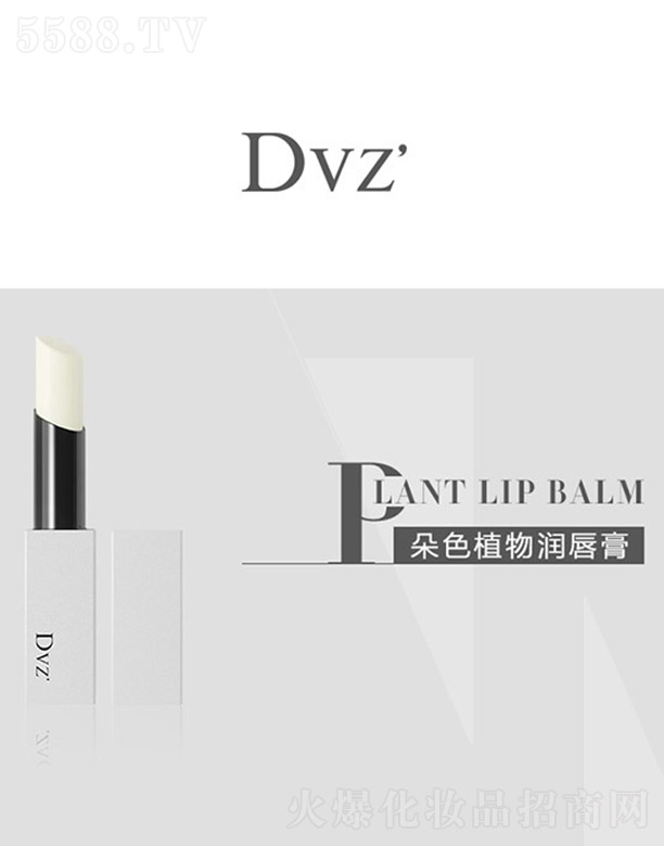 㶫Ƽ޹˾Dvzֲ󴽸 4g