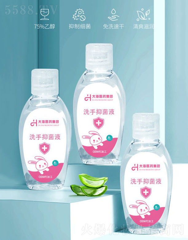 湖南大海医药集团有限公司：洗手抑菌液