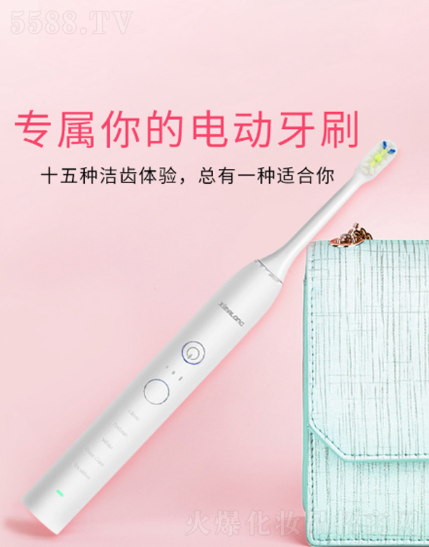 Ƽ޹˾ZR505-15ʵ綯ˢ