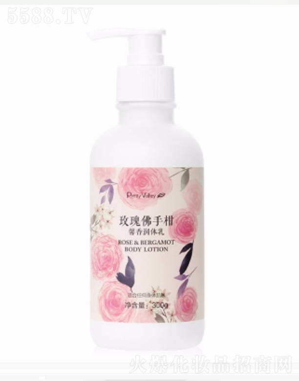 ݻȻƷ޹˾õָܰ 300g