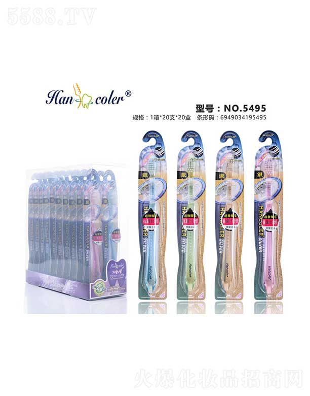 ͷнſǻ޹˾ɶNO.5495