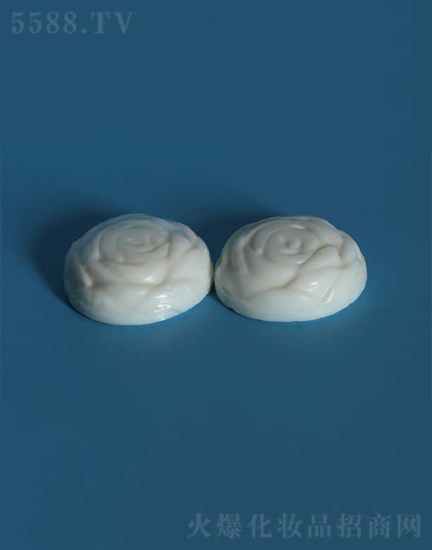ݻջƷ޹˾SSH-002