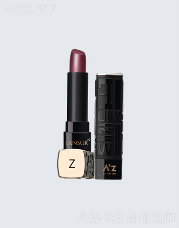 ͷױƷ޹˾ɪڴࣨZ01 2.2g