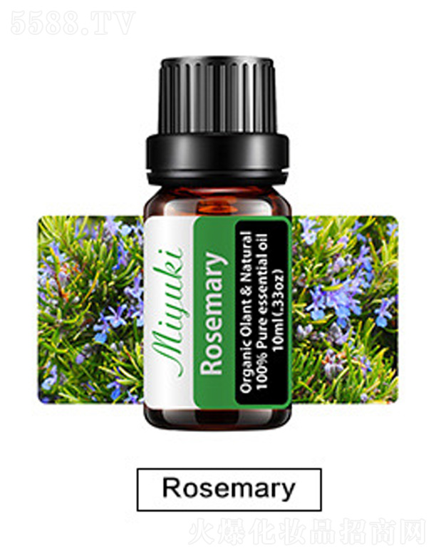 Ƽ޹˾޹Ħ-Rosemary˹