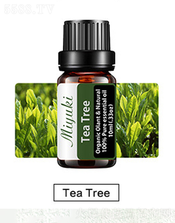 Ƽ޹˾޹Ħ-Tea Tree