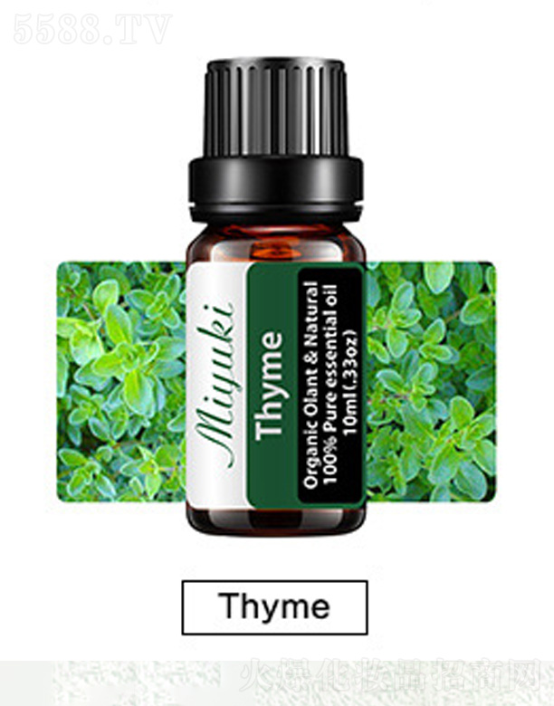 Ƽ޹˾޹Ħ-Thyme