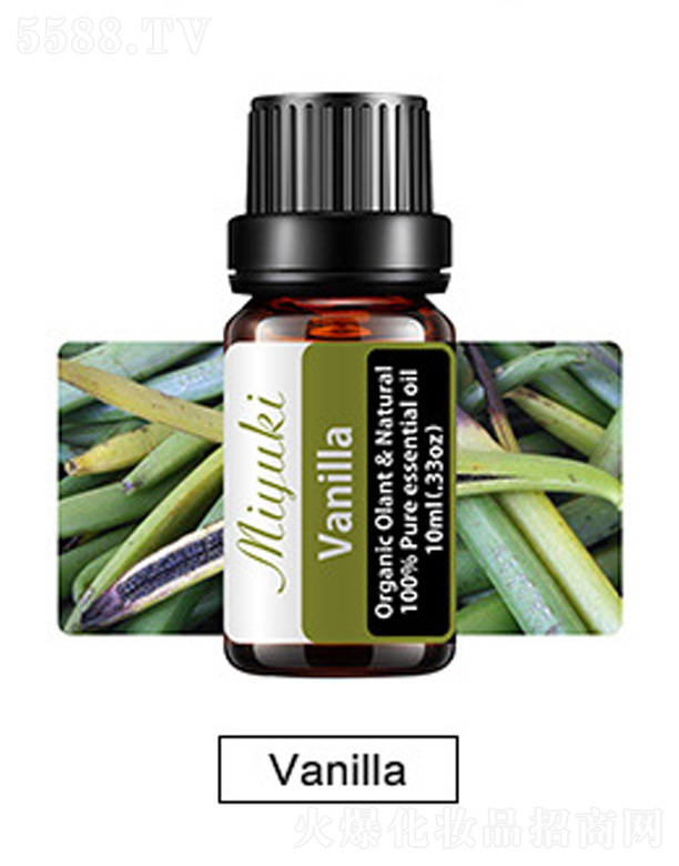 Ƽ޹˾޹Ħ-Vanilla