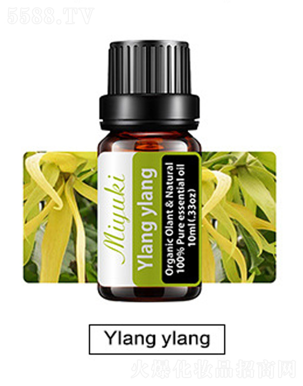Ƽ޹˾޹Ħ-Ylang ylang