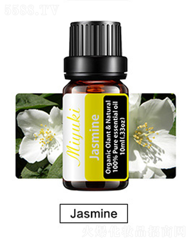 Ƽ޹˾޹Ħ-Jasmine