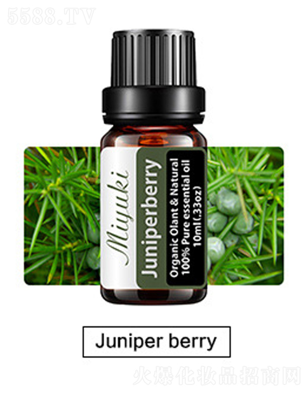 Ƽ޹˾޹Ħ-Juniper berry