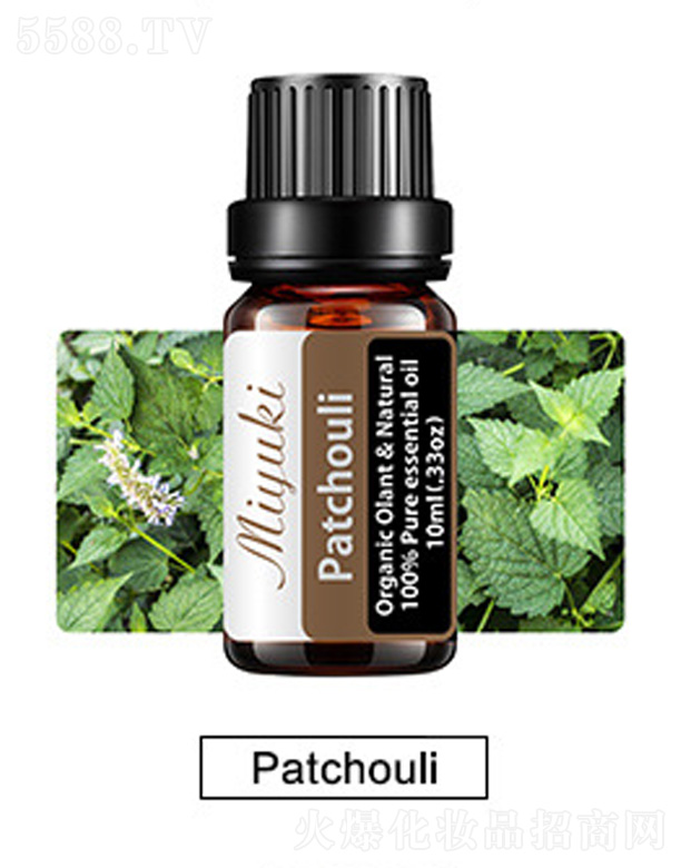 Ƽ޹˾޹Ħ-Patchouli޽
