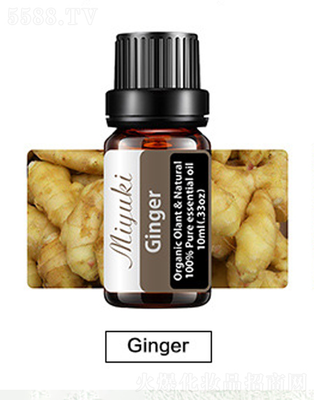 Ƽ޹˾޹Ħ-Ginger