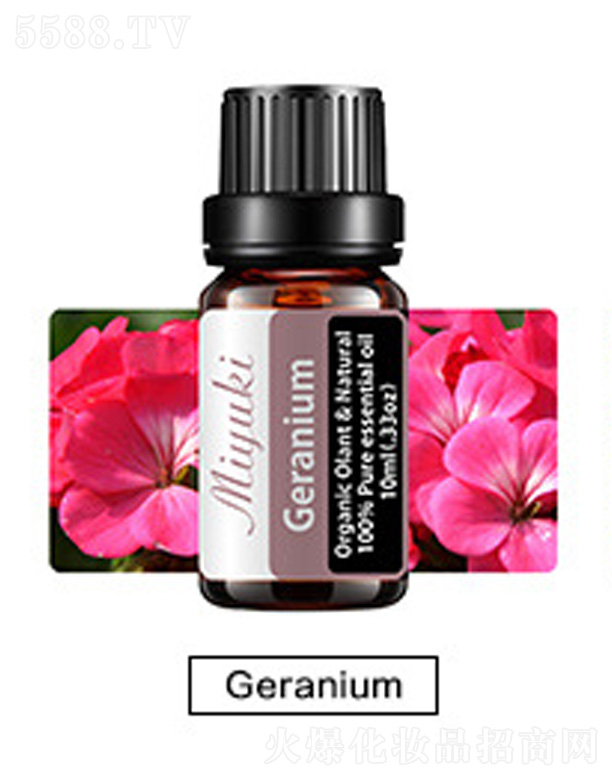 Ƽ޹˾޹Ħ-Geraniumÿ