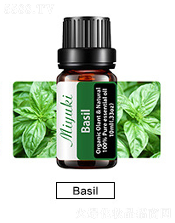 Ƽ޹˾޹Ħ-Basil