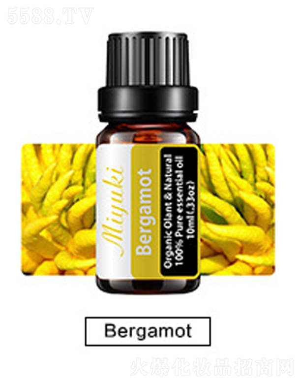 Ƽ޹˾޹Ħ-Bergamotָ