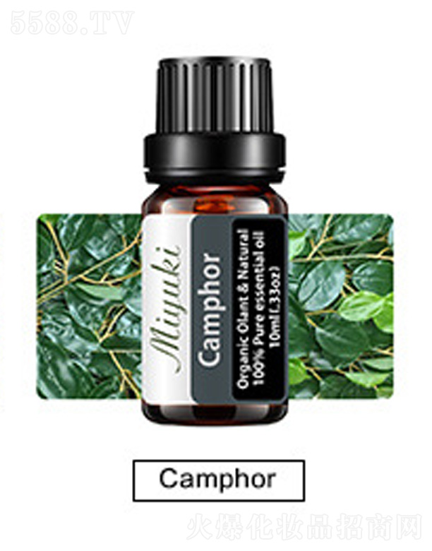 Ƽ޹˾޹Ħ-Camphor