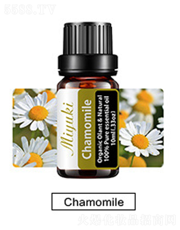 Ƽ޹˾޹Ħ-Chamomileʾ