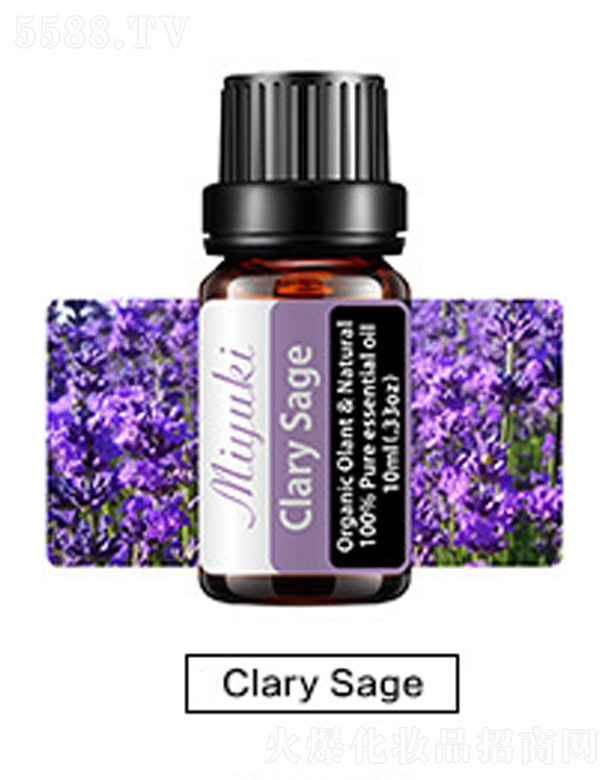 Ƽ޹˾޹Ħ-Clary Sageβ