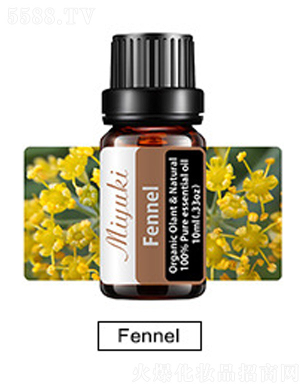 Ƽ޹˾޹Ħ-Fennel
