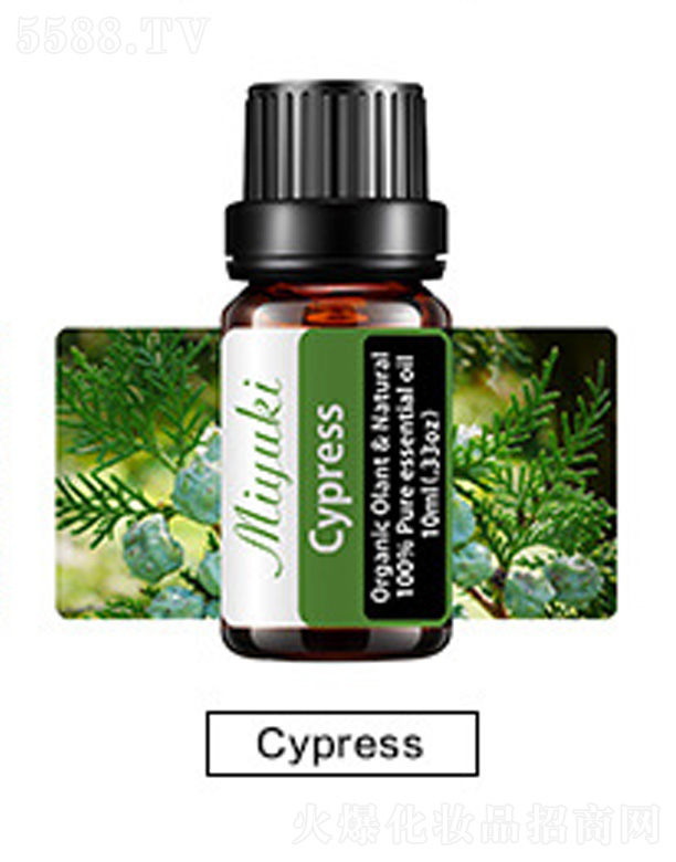 Ƽ޹˾޹Ħ-cypressľ