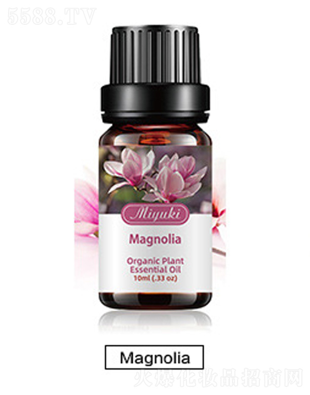 Ƽ޹˾޹Ħ-Magnoliaľ