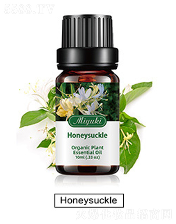 Ƽ޹˾޹Ħ-Honeysuckle