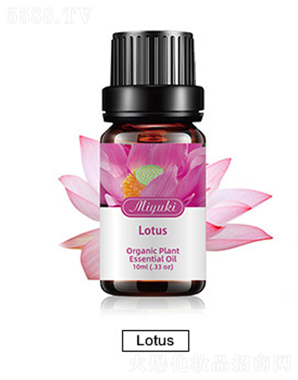 Ƽ޹˾޹Ħ-Lotus