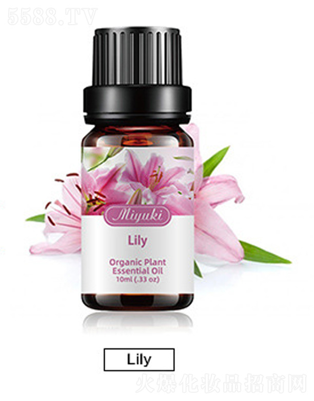 Ƽ޹˾޹Ħ-Lily