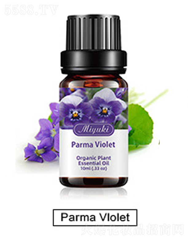 Ƽ޹˾޹Ħ-Parma Vlolet
