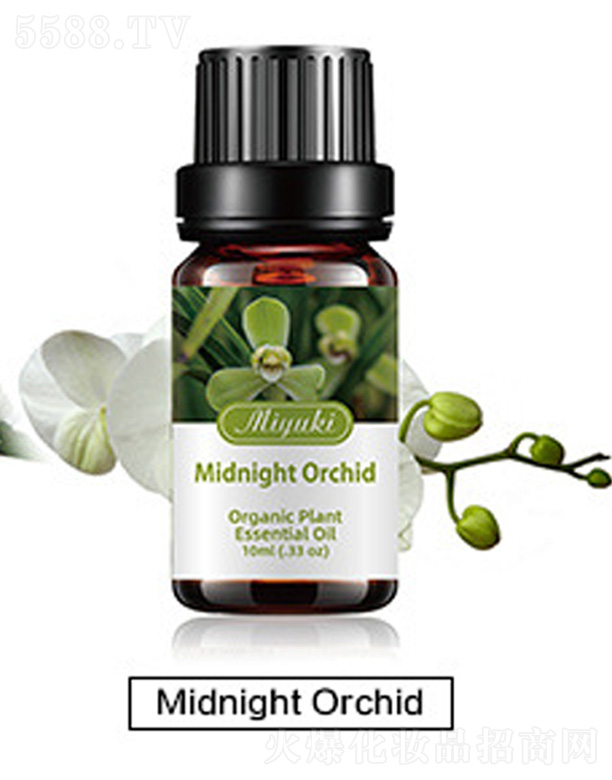 Ƽ޹˾޹Ħ-Midnight Orchidҹ