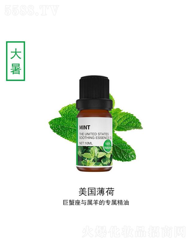 ݸƼ޹˾ɾ 10ml