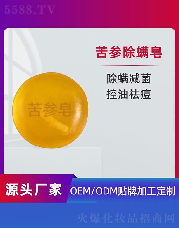 ݵƼ޹˾OEM