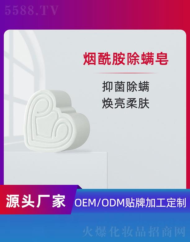 ݵƼ޹˾OEM