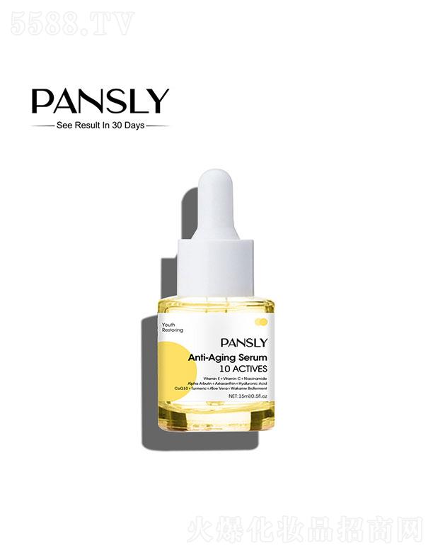 Ƽ޹˾   PANSLYԾ   